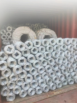 防護建築用刺線コイル 熱浸したガルバン化剃刀線配送機