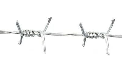 ガルバナイドバーブ 長さ お客様の要求 PVCまたはガルバナイド抗腐蚀性ゴミ線 1.6mm x 100