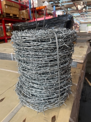 高速道路の境界草原での繁殖のための大きな保護保証 鋼鉄線 鋼鉄線 鉄鋼線 鉄鋼線 鉄鋼線 鉄鋼線 鉄鋼線 鉄鋼線 鉄鋼線 鉄鋼線 鉄鋼線 鉄鋼線 鉄鋼線 鉄鋼線 鉄鋼線 鉄鋼線 鉄鋼線 鉄鋼線 鉄鋼線 鉄鋼線 鉄鋼線 鉄鋼線 鉄鋼線 鉄鋼線 鉄鋼線 鉄鋼線 鉄鋼線 鉄鋼線 鉄鋼線 鉄鋼線 鉄鋼線 鉄鋼線 鉄鋼線 鉄鋼線 鉄鋼線 鉄鋼線 鉄鋼線 鉄鋼線 鉄鋼線 鉄鋼線 鉄鋼線 鉄鋼線 鉄鋼線 鉄鋼線 鉄鋼線 鉄鋼線 鉄鋼線 鉄鋼線 鉄鋼線 鉄鋼線 鉄鋼線 鉄鋼線 鉄鋼線 鉄鋼線 鉄鋼線 鉄鋼線 鉄鋼線 線 鉄鋼